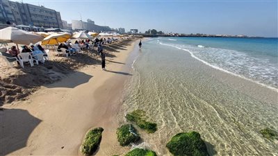 رسالة قصيرة