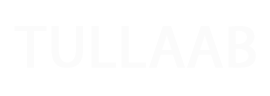 طلاب نت